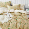 Постельное белье из сатина ASABELLA 1339-6 50х70 (2шт) и 70х70 (2шт) евро