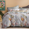 Постельное белье из тенсела люкс ASABELLA 2045-6 50х70 (2шт) и 70х70 (2шт) евро