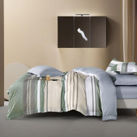 Постельное белье из тенсела TANGO TT6-148 50х70 (2шт), 70х70 (2шт) евро