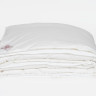 Одеяло GERMAN GRASS ALLIANCE DOWN Light and SILK GRASS двойное 200х220