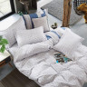 Постельное белье двухстороннее из твила TANGO TPIG-1219 50х70 (2шт), 70х70 (2шт) евро