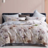 Постельное белье из тенсела люкс ASABELLA 2046-6 50х70 (2шт) и 70х70 (2шт) евро