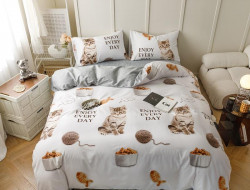 Постельное белье из сатина TANGO NOVELLA TS04-X228 50х70 (2шт), 70х70 (2шт) евро