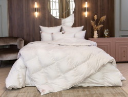 Одеяло пуховое кассетное GERMAN GRASS SILVER DOWN GRASS всесезонное Light 160х220