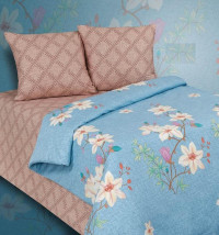 Постельное белье из поплина двухстороннее АЛЬВИТЕК ПА-714 евро