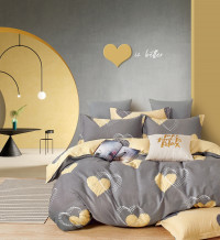 Постельное белье из твил-сатина в ПВХ TANGO ловер 50х70 (2шт) евро