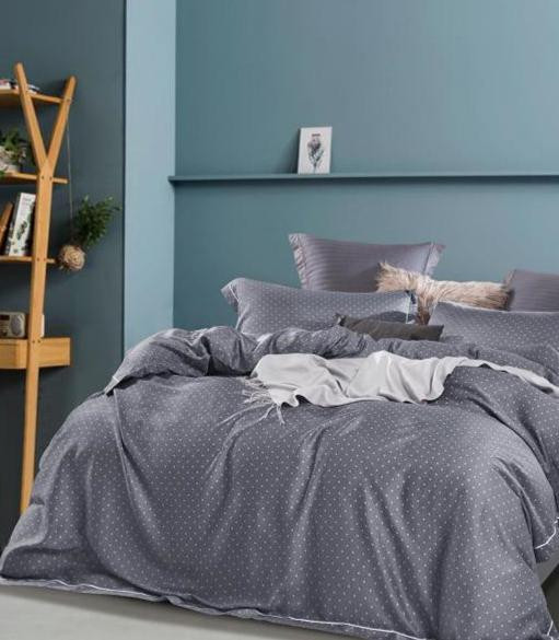 Постельное белье из тенсела TANGO TT-93 50х70 (2шт), 70х70 (2шт) евро