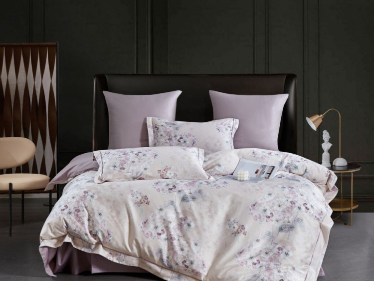 Постельное белье из египетского хлопка ASABELLA 2149-7 50х70 (2шт) и 70х70 (2шт) семейное