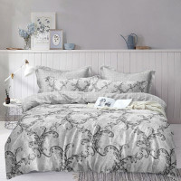 Постельное белье из микросатина TANGO DREAM FLY DF03-519 50х70 (2шт) евро