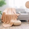 Плед из велсофта АЛЬВИТЕК SOFT PLUSH 011-SP 150х200