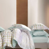 Постельное белье из тенсела люкс ASABELLA 2048-4S 50х70 (1шт) и 70х70 (1шт) 1,5-спальное