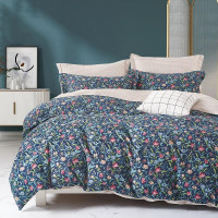 Постельное белье из сатина TANGO NOVELLA TS04-X266 50х70 (2шт), 70х70 (2шт) евро