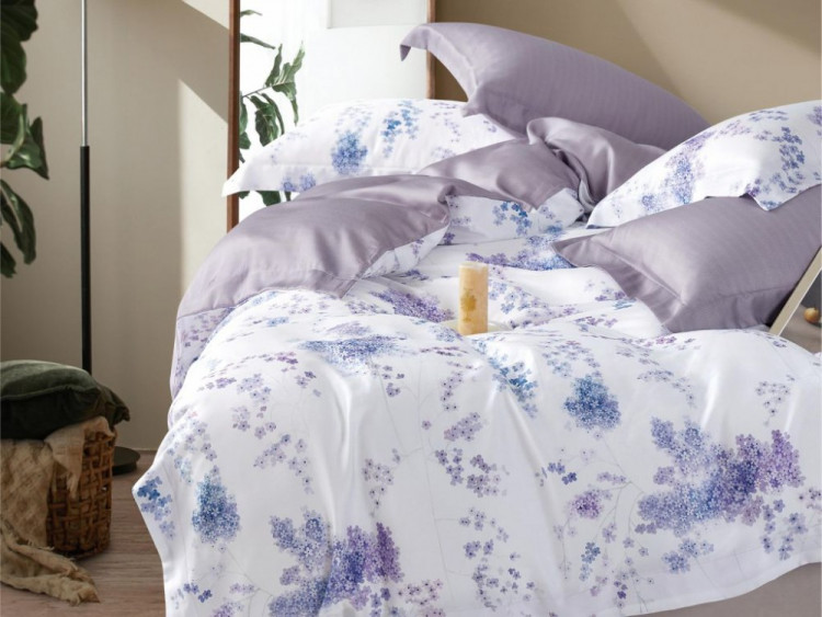 Постельное белье из тенсела ASABELLA 1966-6 50х70 (2шт) и 70х70 (2шт) евро