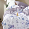 Постельное белье из тенсела ASABELLA 1966-6 50х70 (2шт) и 70х70 (2шт) евро