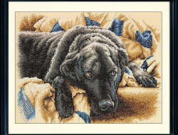 Набор для вышивания DIMENSIONS 70-35321 Запретные удовольствия 27,9x35,5 см