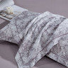 Постельное белье из египетского хлопка ASABELLA 2152-4S 50х70 (1шт) и 70х70 (1шт) 1,5-спальное