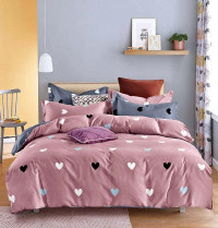 Постельное белье из микросатина TANGO DF-463-70 DREAM FLY 70х70 (2шт) семейное