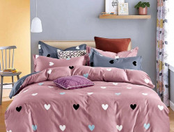 Постельное белье из микросатина TANGO DF-463-70 DREAM FLY 70х70 (2шт) семейное