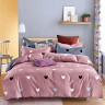 Постельное белье из микросатина TANGO DF-463-70 DREAM FLY 70х70 (2шт) семейное