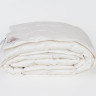 Одеяло кассетное GERMAN GRASS LUXE DOWN GRASS 160х220 всесезонное Light