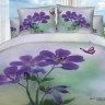 Постельное белье KINGSILK SEDA ЗАЛЬМАНИ 2-спальное