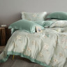 Постельное белье из тенсела люкс ASABELLA 1974-6 50х70 (2шт) и 70х70 (2шт) евро