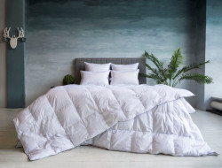 Одеяло кассетное GERMAN GRASS GRAY FAMILIE DOWN 160х220 всесезонное