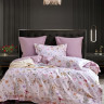 Постельное белье из египетского хлопка ASABELLA 2153-6 50х70 (2шт) и 70х70 (2шт) евро