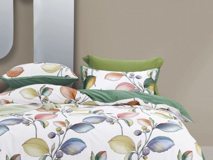 Постельное белье из сатина ASABELLA 1875-6 50х70 (2шт) и 70х70 (2шт) евро