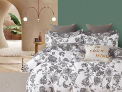 Постельное белье из твила в ПВХ TANGO TPIG3-1906 50х70 (2шт) евро