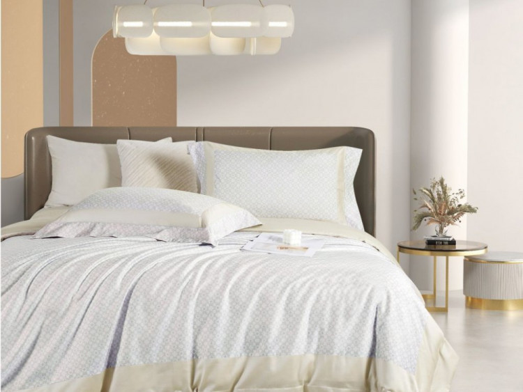 Постельное белье из египетского хлопка ASABELLA 2154-6 50х70 (2шт) и 70х70 (2шт) евро