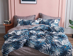 Постельное белье из микросатина TANGO DREAM FLY DF-164-70 70х70 (2шт) 2-спальное