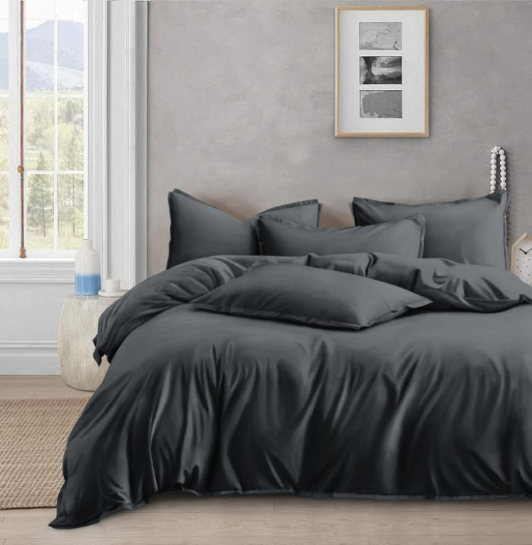 Постельное белье из люксового сатина АЛЬВИТЕК ОCA-006 графит 70х70 (2шт) 2-спальное