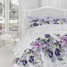Постельное белье из ранфорса KARVEN N031 RIELLA LILAC 50х70 (2шт), 70х70 (2шт) семейное