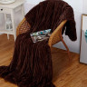 Плед из велсофта АЛЬВИТЕК SOFT PLUSH ORRIZONTE 004 200х220