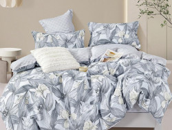 Постельное белье из твила в ПВХ TANGO TPIG3-1813 50х70 (2шт) евро