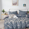 Постельное белье двухстороннее из твила TANGO TPIG-1715 50х70 (2шт), 70х70 (2шт) евро