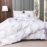 Одеяло кассетное GERMAN GRASS WHITE FAMILIE DOWN 160х220 теплое