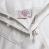 Одеяло GERMAN GRASS ALLIANCE DOWN and TENCEL GRASS двойное 240х220