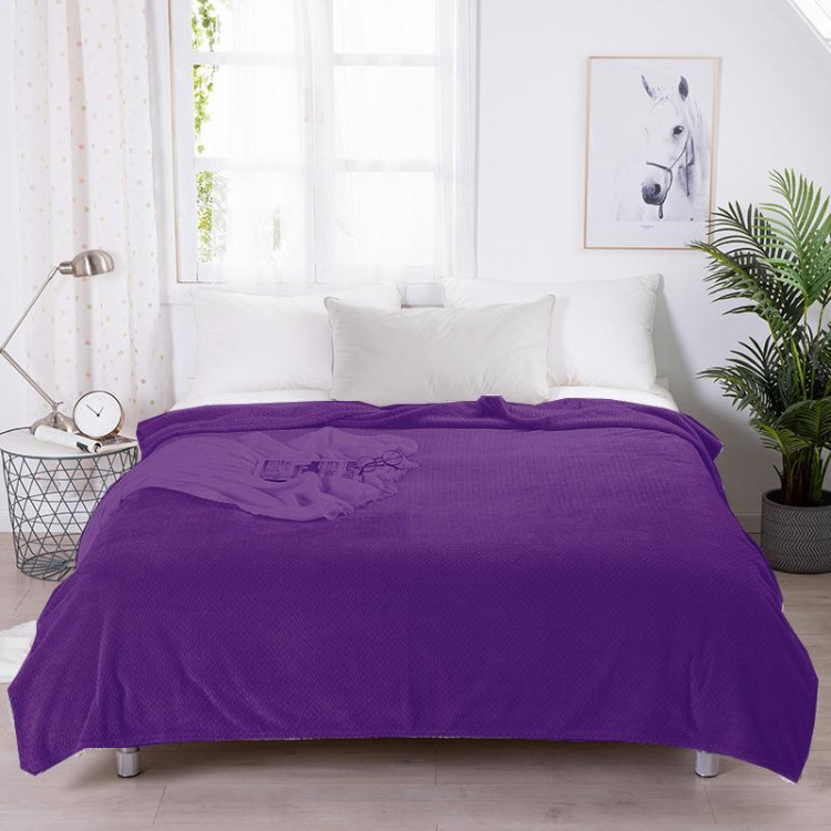 Плед однотонный из микрофибры TANGO SPIGA SP-13 фиолетовый 150х200