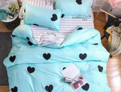 Постельное белье из микросатина TANGO DREAM FLY DF-64-70 70х70 (2шт) 2-спальное