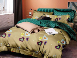 Постельное белье из микросатина TANGO DREAM FLY DF-348 50х70 (1шт), 70х70 (1шт) 1,5-спальное