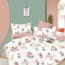Постельное белье из твил-сатина TANGO розочки 70х70 (2шт) семейное