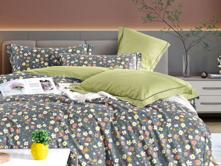 Постельное белье из сатина ASABELLA 1985-6 50х70 (2шт) и 70х70 (2шт) евро