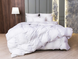 Одеяло кассетное GERMAN GRASS WHITE FAMILIE DOWN 140х205 теплое