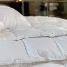 Одеяло кассетное GERMAN GRASS WHITE FAMILIE DOWN 140х205 теплое
