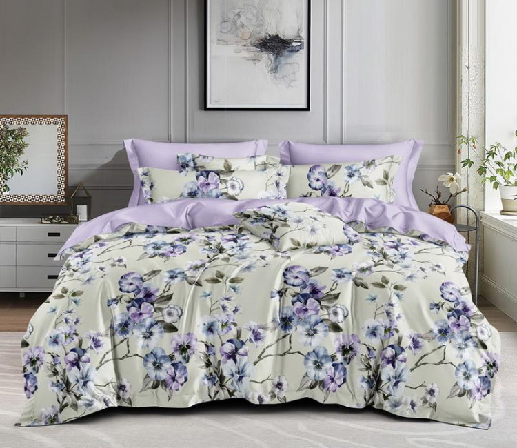 Постельное белье из сатина АЛЬВИТЕК CA-6-706 50х70 (2шт), 70х70 (2шт) евро