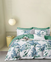 Постельное белье из твил-сатина TANGO винтро 50х70 (2шт) семейное