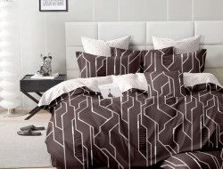 Постельное белье из сатина АЛЬВИТЕК CA-7-699 50х70 (2шт), 70х70 (2шт) семейное