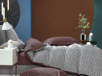 Постельное белье из сатина TANGO TS04-X255 50х70 (2шт), 70х70 (2шт) евро